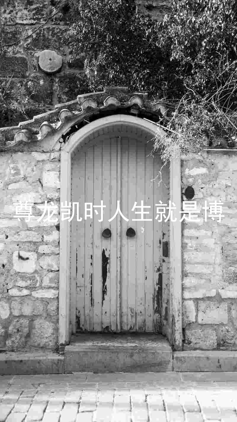 尊龙凯时人生就是博